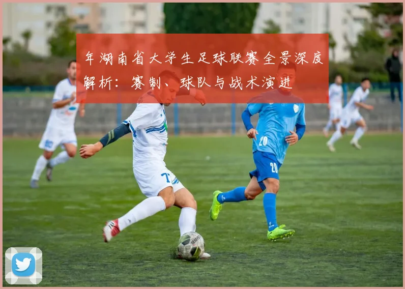 年湖南省大学生足球联赛全景深度解析:赛制、球队与战术演进